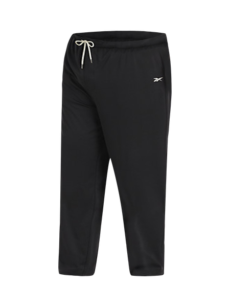 Big + Tall | Reebok Reebok Lightweight Performance Hoodie | DXL