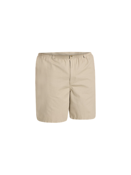 Big + Tall | Harbor Bay Easy-Care Solid Sport Shirt | DXL