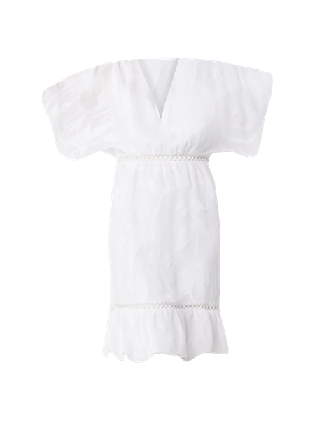 Petite Flounce + Floral Burnout Dress